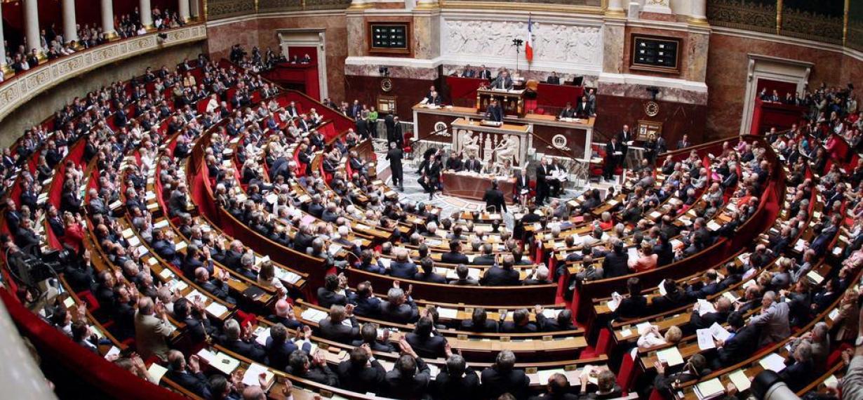 Vote de la loi climat et résilience à l'Assemblée Nationale