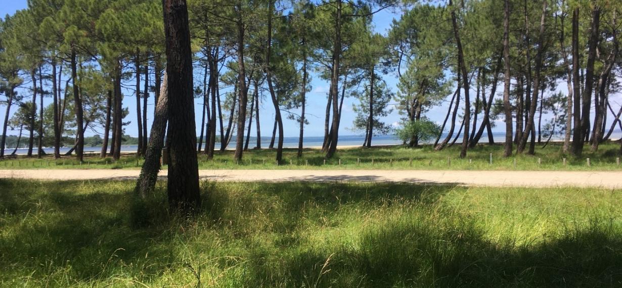 Lac de Cazaux-Sanguinet à Biscarrosse