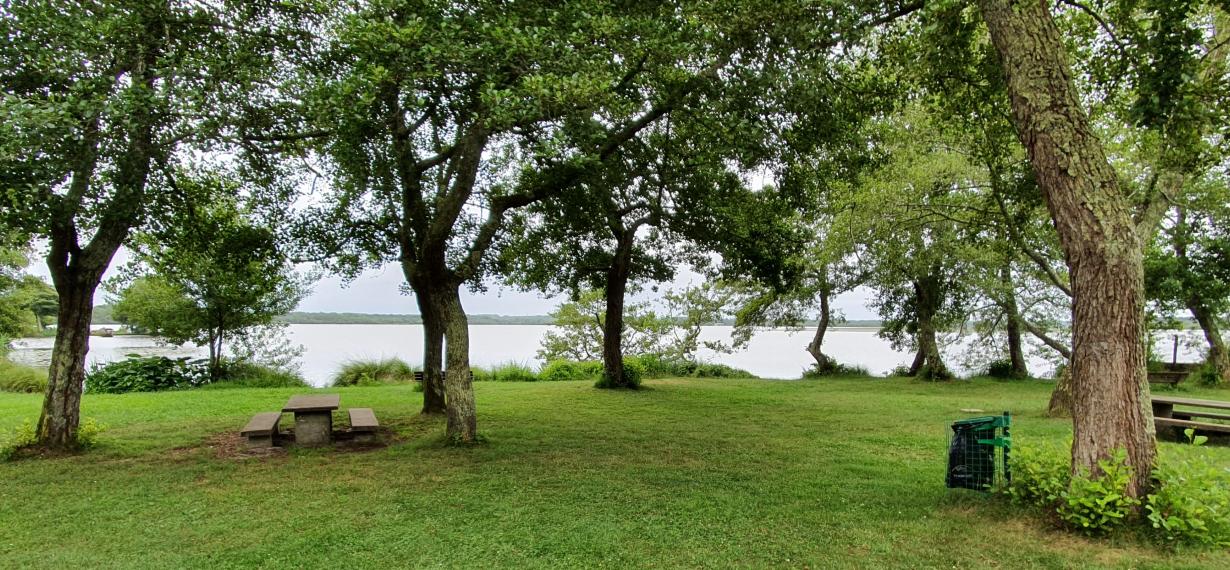 Vue sur les abords de l'étang